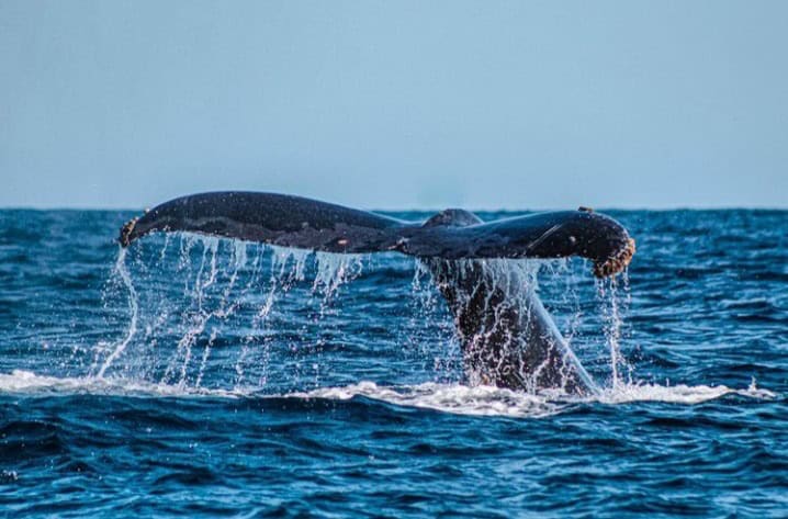 20211231_190915_Original